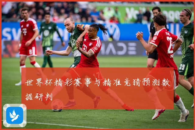 世界杯精彩赛事与精准竞猜预测数据研判