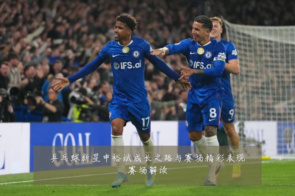 乒乓球新星申裕斌成长之路与赛场精彩表现赛场解读