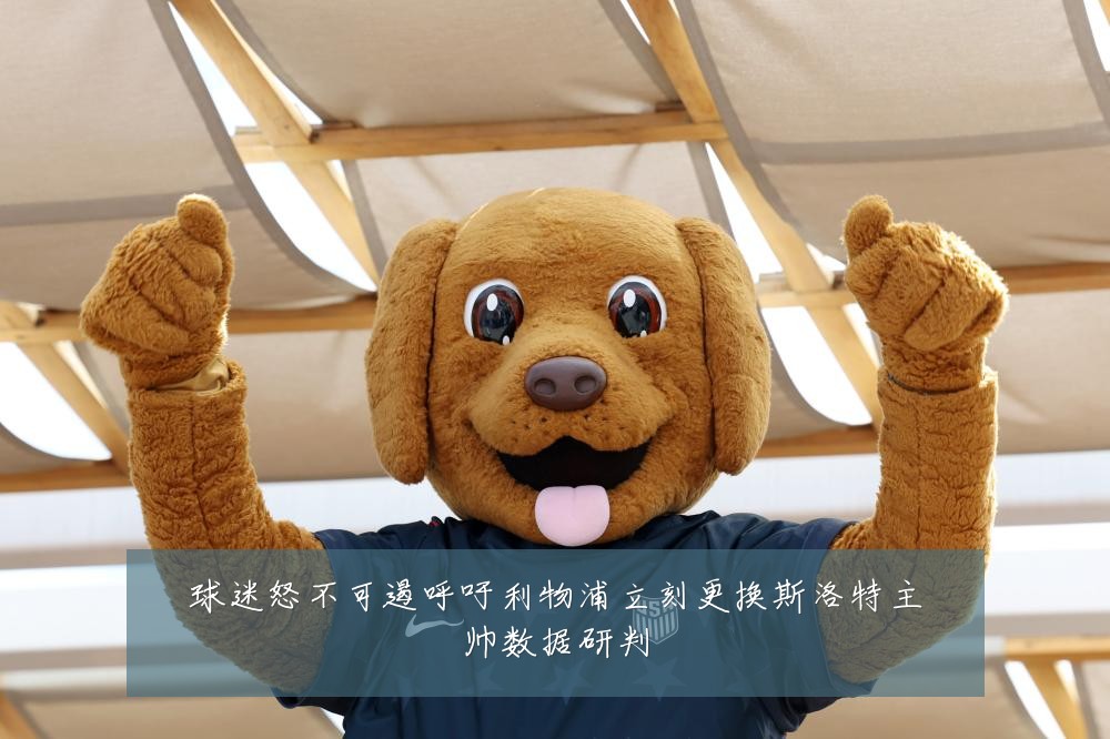球迷怒不可遏呼吁利物浦立刻更换斯洛特主帅数据研判